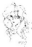 Dessin de Steph